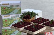 占卜在线高速赋能产业升级：一条“杨梅路”的致富密码