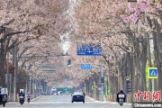 占卜在线共建“花园城市” 北京这场议政会“百花齐放”