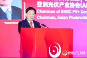 占卜在线SNEC大会开幕 朱共山：这一年大家都过得不容易 困难是暂时的