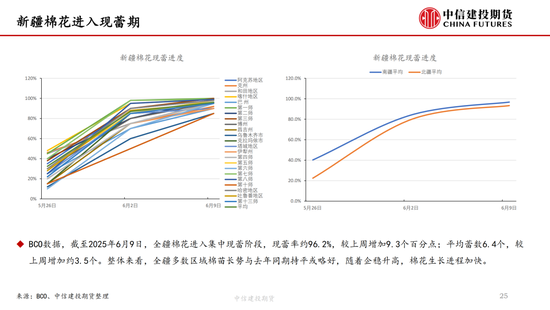 【棉花纺谈】供应端(😥)阶段性缩量 疆棉基差坚挺